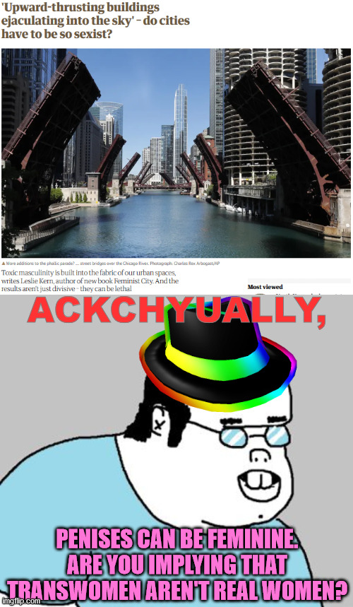 Astoundingly dumb feminist journo doesn't realize she's being TERFy | ACKCHYUALLY, PENISES CAN BE FEMININE. ARE YOU IMPLYING THAT TRANSWOMEN AREN'T REAL WOMEN? | image tagged in ackchyually,penis,transgender,feminist,building,city | made w/ Imgflip meme maker