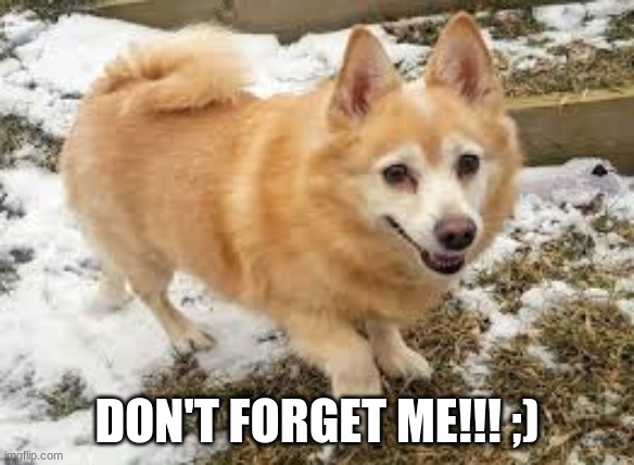 DON'T FORGET ME!!! ;) | made w/ Imgflip meme maker