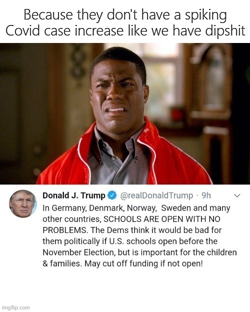 Trump School Opening Dumb Ass | Because they don't have a spiking Covid case increase like we have dipshit | image tagged in trump school opening dumb ass | made w/ Imgflip meme maker