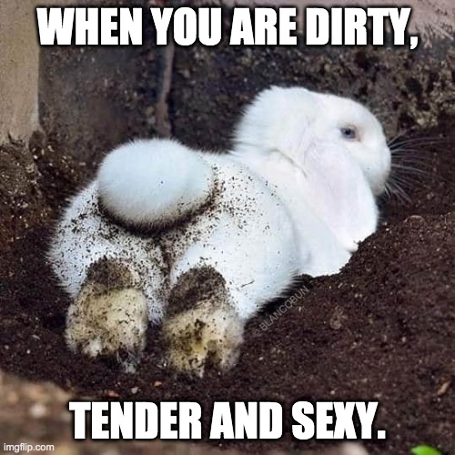 When you are dirty | WHEN YOU ARE DIRTY, TENDER AND SEXY. | image tagged in funny memes | made w/ Imgflip meme maker