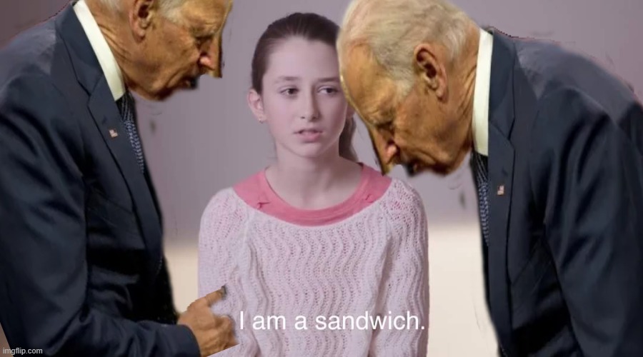 Joe Biden Sandwich. | image tagged in joe biden sandwich | made w/ Imgflip meme maker