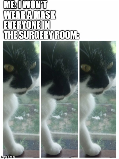 My cat | ME: I WON'T WEAR A MASK; EVERYONE IN THE SURGERY ROOM: | image tagged in cats,blink,cat blinking,original meme,fun,original | made w/ Imgflip meme maker