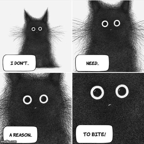 image tagged in cats | made w/ Imgflip meme maker