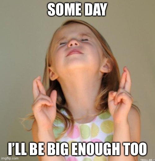 SOME DAY I’LL BE BIG ENOUGH TOO | image tagged in i wish | made w/ Imgflip meme maker