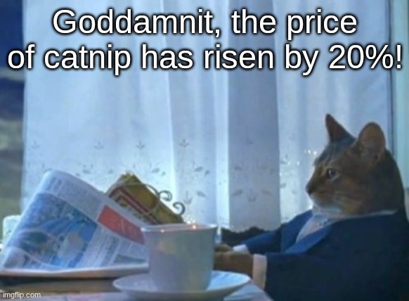 I Should Buy A Boat Cat Meme | Goddamnit, the price of catnip has risen by 20%! | image tagged in memes,i should buy a boat cat | made w/ Imgflip meme maker