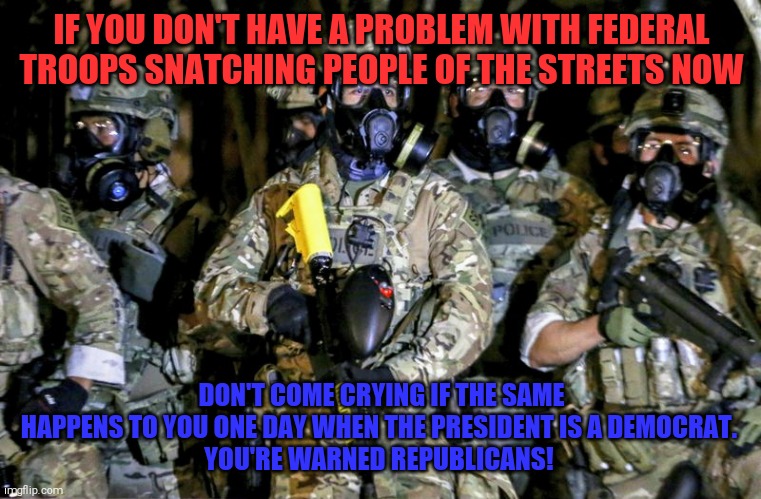 What comes around goes around | IF YOU DON'T HAVE A PROBLEM WITH FEDERAL TROOPS SNATCHING PEOPLE OF THE STREETS NOW; DON'T COME CRYING IF THE SAME HAPPENS TO YOU ONE DAY WHEN THE PRESIDENT IS A DEMOCRAT. 
YOU'RE WARNED REPUBLICANS! | image tagged in memes,portland | made w/ Imgflip meme maker