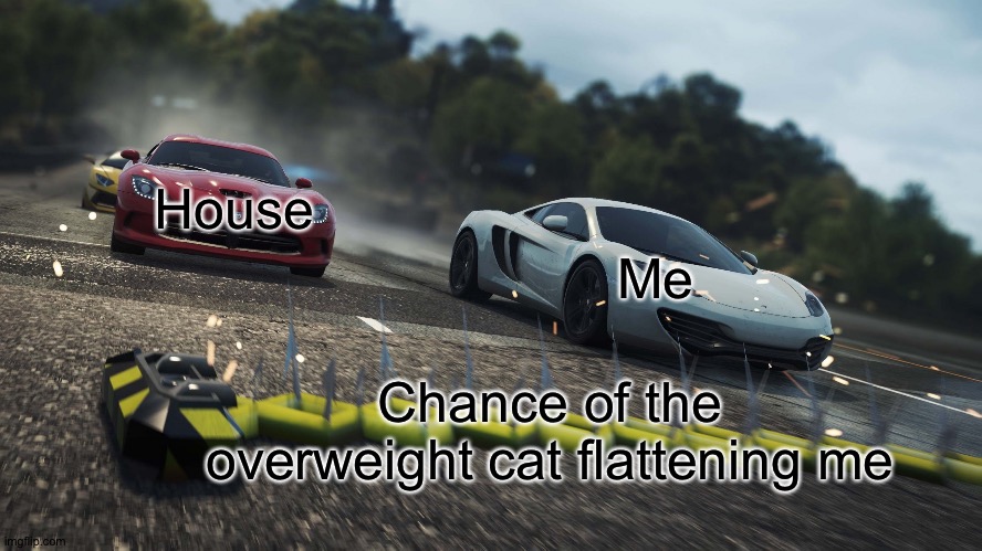 Need for speed most wanted | House Me Chance of the overweight cat flattening me | image tagged in need for speed most wanted | made w/ Imgflip meme maker
