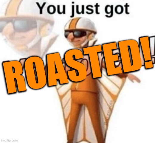 You just got vectored | ROASTED! | image tagged in you just got vectored | made w/ Imgflip meme maker