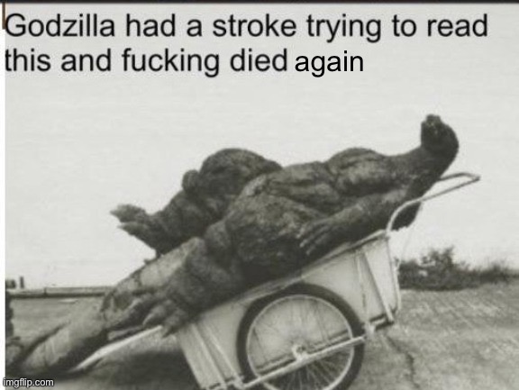 Godzilla had a stroke trying to read this and fucking died | again | image tagged in godzilla had a stroke trying to read this and fucking died | made w/ Imgflip meme maker