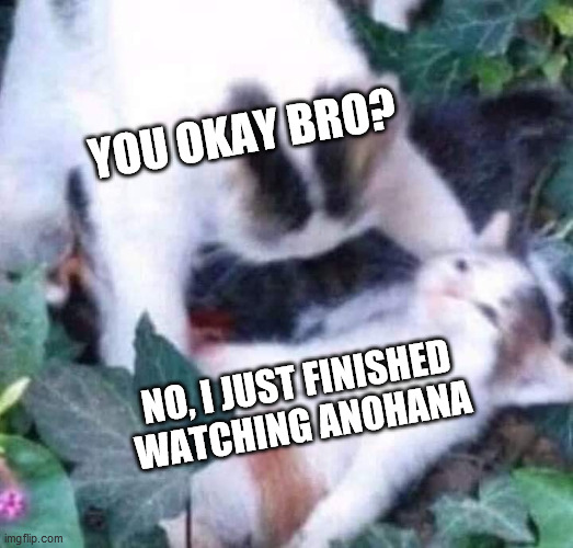 Weeb meme | YOU OKAY BRO? NO, I JUST FINISHED WATCHING ANOHANA | image tagged in dying cat,anime,animeme,anime meme,anime memes,animememe | made w/ Imgflip meme maker