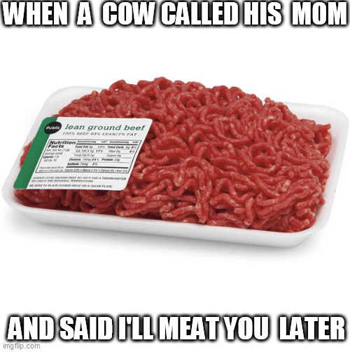 WHEN  A  COW CALLED HIS  MOM AND SAID I'LL MEAT YOU  LATER | made w/ Imgflip meme maker