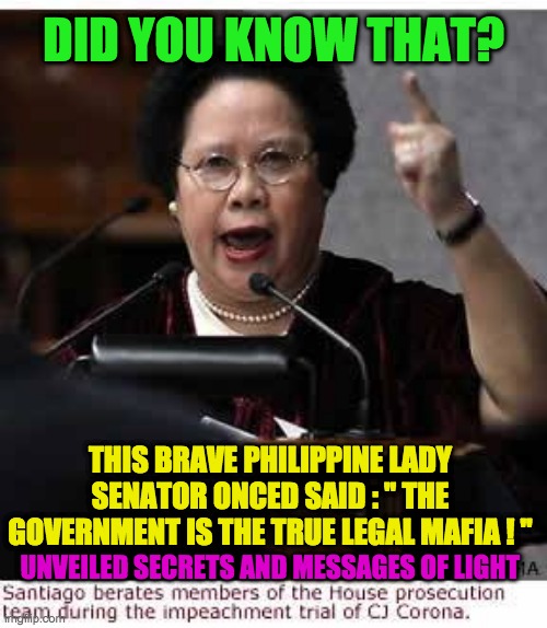 THE GOVERNMENT | DID YOU KNOW THAT? THIS BRAVE PHILIPPINE LADY SENATOR ONCED SAID : '' THE GOVERNMENT IS THE TRUE LEGAL MAFIA ! ''; UNVEILED SECRETS AND MESSAGES OF LIGHT | image tagged in the government | made w/ Imgflip meme maker