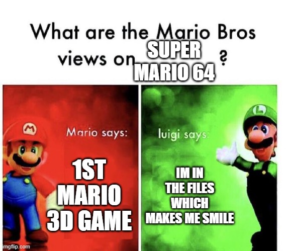 the mario bros views but luigi isnt a f****** d******* | SUPER MARIO 64; 1ST MARIO 3D GAME; IM IN THE FILES WHICH MAKES ME SMILE | image tagged in mario bros views | made w/ Imgflip meme maker