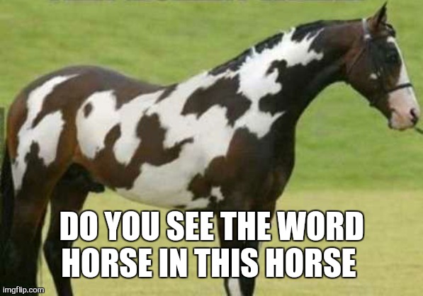 horse spelling horse | DO YOU SEE THE WORD HORSE IN THIS HORSE | image tagged in horse spelling horse | made w/ Imgflip meme maker