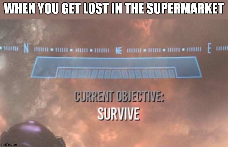 Current Objective: Survive | WHEN YOU GET LOST IN THE SUPERMARKET | image tagged in current objective survive | made w/ Imgflip meme maker