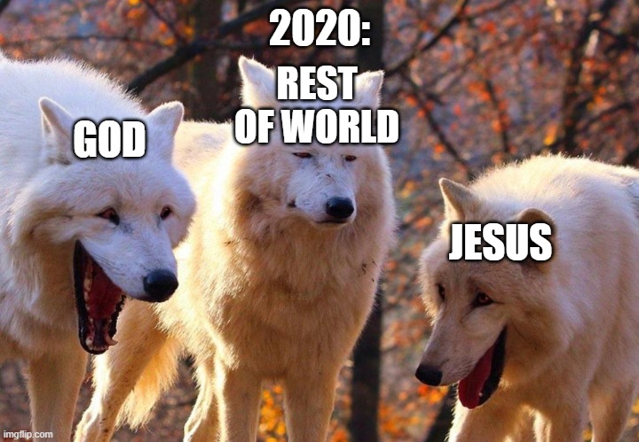 2/3 wolves laugh | 2020:; REST OF WORLD; GOD; JESUS | image tagged in 2/3 wolves laugh | made w/ Imgflip meme maker