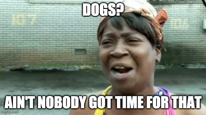 For Dog haters | DOGS? AIN'T NOBODY GOT TIME FOR THAT | image tagged in memes,ain't nobody got time for that | made w/ Imgflip meme maker