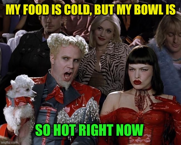 So Hot Right Now | MY FOOD IS COLD, BUT MY BOWL IS SO HOT RIGHT NOW | image tagged in so hot right now | made w/ Imgflip meme maker