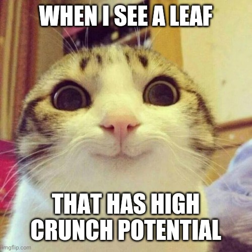 c: | WHEN I SEE A LEAF; THAT HAS HIGH CRUNCH POTENTIAL | image tagged in memes,smiling cat | made w/ Imgflip meme maker