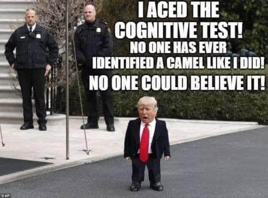 Trump moca ace Blank Meme Template