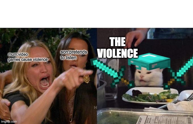 Woman Yelling At Cat Meme | THE VIOLENCE; son:pretends to listen; mum:video games cause violence | image tagged in memes,woman yelling at cat | made w/ Imgflip meme maker
