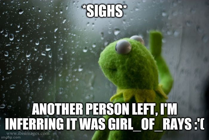 kermit window | *SIGHS*; ANOTHER PERSON LEFT, I'M INFERRING IT WAS GIRL_OF_RAYS :'( | image tagged in kermit window | made w/ Imgflip meme maker