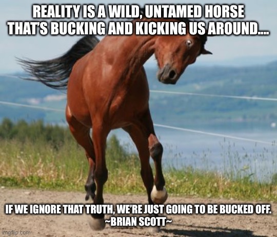 Reality | REALITY IS A WILD, UNTAMED HORSE THAT’S BUCKING AND KICKING US AROUND.... IF WE IGNORE THAT TRUTH, WE’RE JUST GOING TO BE BUCKED OFF.
~BRIAN SCOTT~ | image tagged in horse | made w/ Imgflip meme maker