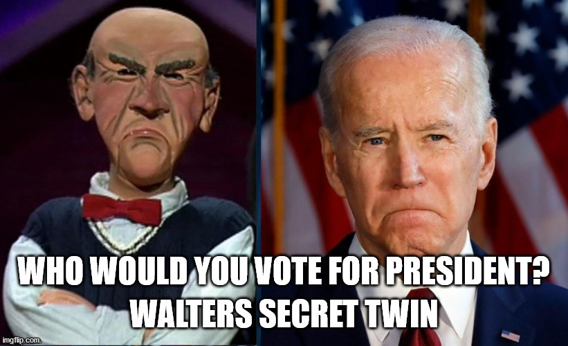 Walters Twin | WHO WOULD YOU VOTE FOR PRESIDENT? | image tagged in walters twin | made w/ Imgflip meme maker