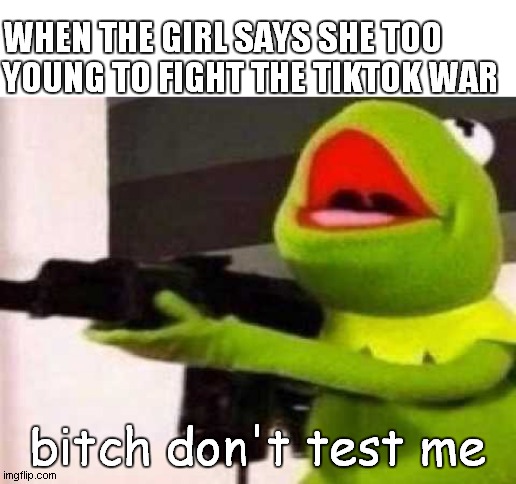 Hippity Hoppity | WHEN THE GIRL SAYS SHE TOO YOUNG TO FIGHT THE TIKTOK WAR; bitch don't test me | image tagged in hippity hoppity | made w/ Imgflip meme maker