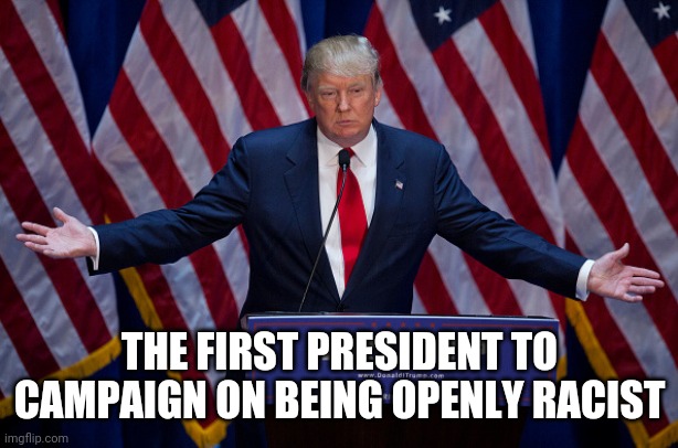 Donald Trump | THE FIRST PRESIDENT TO CAMPAIGN ON BEING OPENLY RACIST | image tagged in donald trump | made w/ Imgflip meme maker