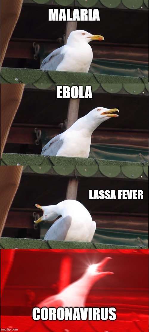 Nigeria u try | MALARIA; EBOLA; LASSA FEVER; CORONAVIRUS | image tagged in memes,inhaling seagull | made w/ Imgflip meme maker