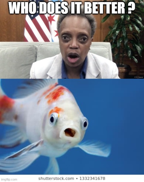 Mayor Lightfoot Vs Fish | WHO DOES IT BETTER ? | image tagged in mayor lightfoot | made w/ Imgflip meme maker
