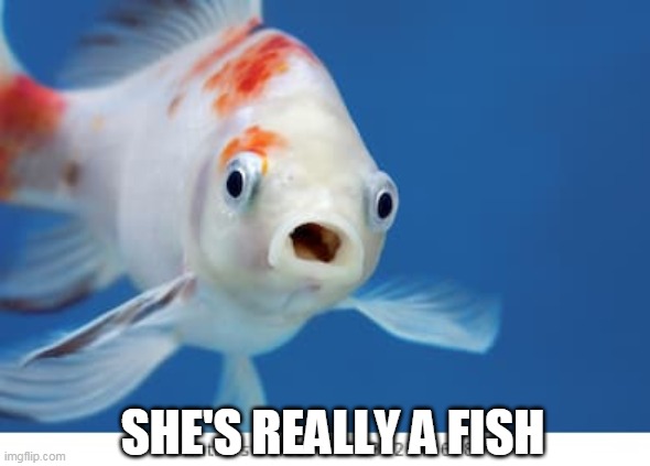 SHE'S REALLY A FISH | made w/ Imgflip meme maker