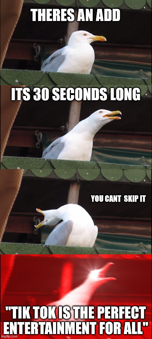 Inhaling Seagull | THERES AN ADD; ITS 30 SECONDS LONG; YOU CANT  SKIP IT; "TIK TOK IS THE PERFECT ENTERTAINMENT FOR ALL" | image tagged in memes,inhaling seagull | made w/ Imgflip meme maker