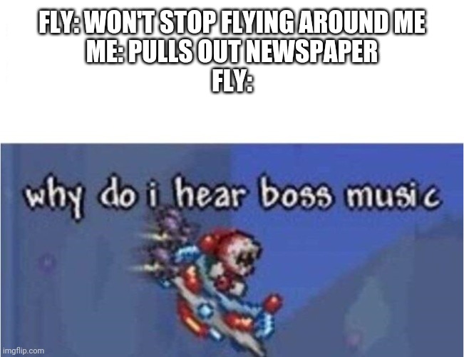 why do i hear boss music | FLY: WON'T STOP FLYING AROUND ME
ME: PULLS OUT NEWSPAPER
FLY: | image tagged in why do i hear boss music | made w/ Imgflip meme maker