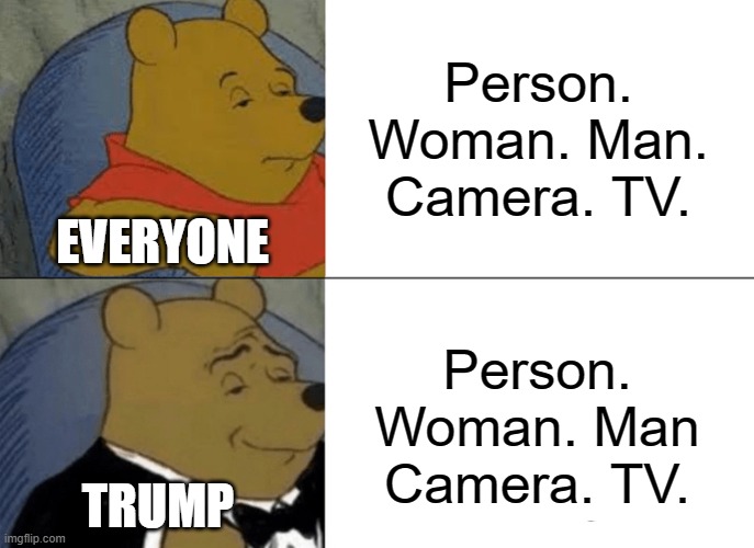 Trump said | Person. Woman. Man. Camera. TV. EVERYONE; Person. Woman. Man Camera. TV. TRUMP | image tagged in memes,tuxedo winnie the pooh | made w/ Imgflip meme maker
