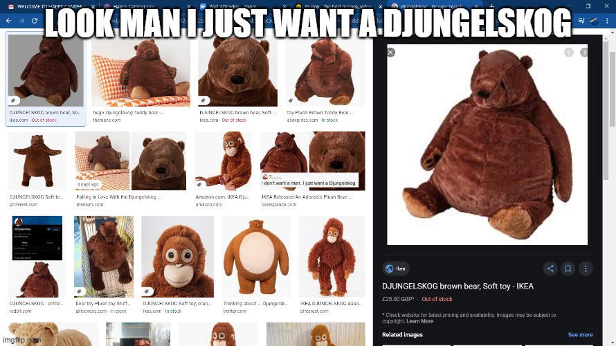 look man | LOOK MAN I JUST WANT A DJUNGELSKOG | image tagged in teddy bear | made w/ Imgflip meme maker