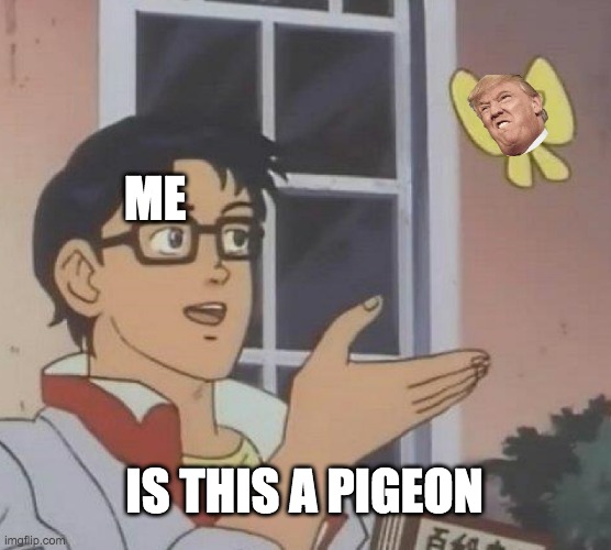 Is This A Pigeon Meme | ME; IS THIS A PIGEON | image tagged in memes,is this a pigeon | made w/ Imgflip meme maker