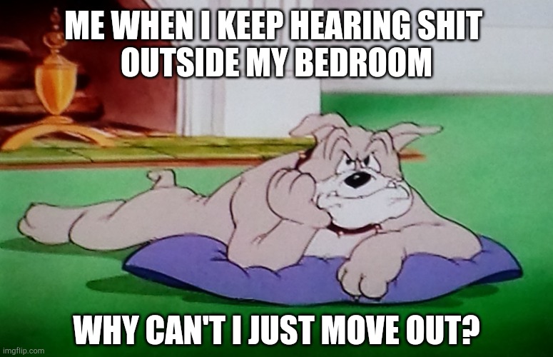 Spike's frown about loud noise | ME WHEN I KEEP HEARING SHIT 
OUTSIDE MY BEDROOM; WHY CAN'T I JUST MOVE OUT? | image tagged in tom and jerry | made w/ Imgflip meme maker