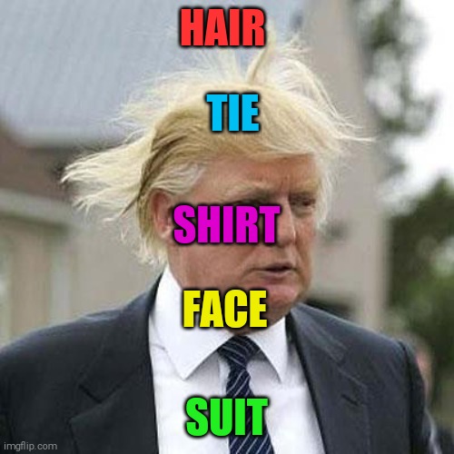 I'm like a really smart person | HAIR; TIE; SHIRT; FACE; SUIT | image tagged in memes,donald trump,woman,tv,camera,person | made w/ Imgflip meme maker