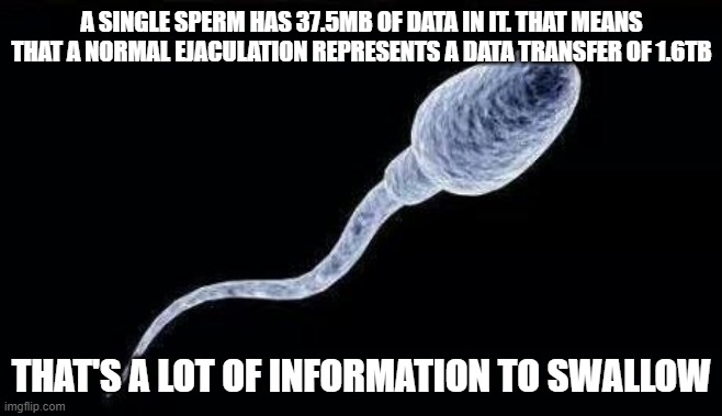 Sperm Data | A SINGLE SPERM HAS 37.5MB OF DATA IN IT. THAT MEANS THAT A NORMAL EJACULATION REPRESENTS A DATA TRANSFER OF 1.6TB; THAT'S A LOT OF INFORMATION TO SWALLOW | image tagged in da sperm,information,sperm,data,funny,funny memes | made w/ Imgflip meme maker