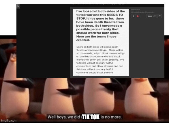 It's the only thing that's been posted there | TIK TOK | image tagged in memes,blank white template,suicide to tik tok | made w/ Imgflip meme maker