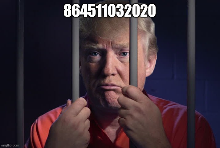 Trump Prison | 864511032020 | image tagged in trump prison | made w/ Imgflip meme maker