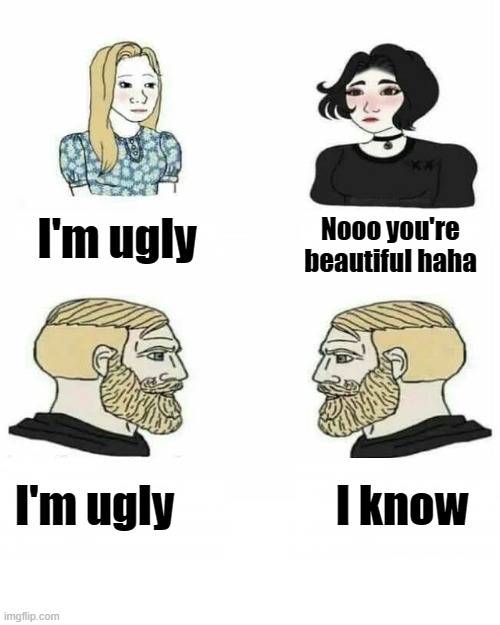 LOL | Nooo you're beautiful haha; I'm ugly; I know; I'm ugly | image tagged in boys vs girls,boys,girls | made w/ Imgflip meme maker