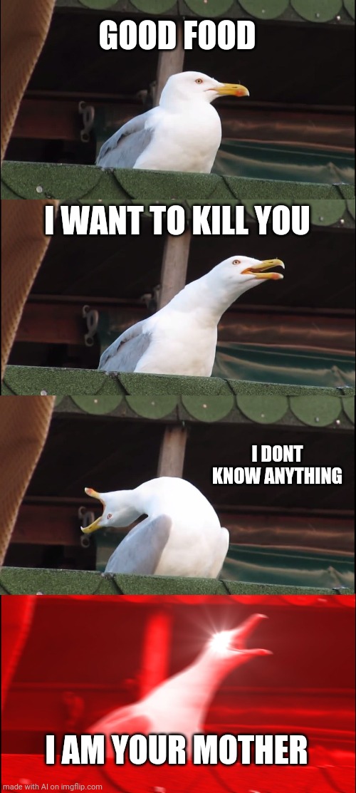 The stages of motherhood | GOOD FOOD; I WANT TO KILL YOU; I DONT KNOW ANYTHING; I AM YOUR MOTHER | image tagged in memes,inhaling seagull | made w/ Imgflip meme maker