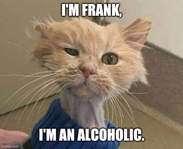 Alcoholic | I'M FRANK, I'M AN ALCOHOLIC. | image tagged in cat | made w/ Imgflip meme maker