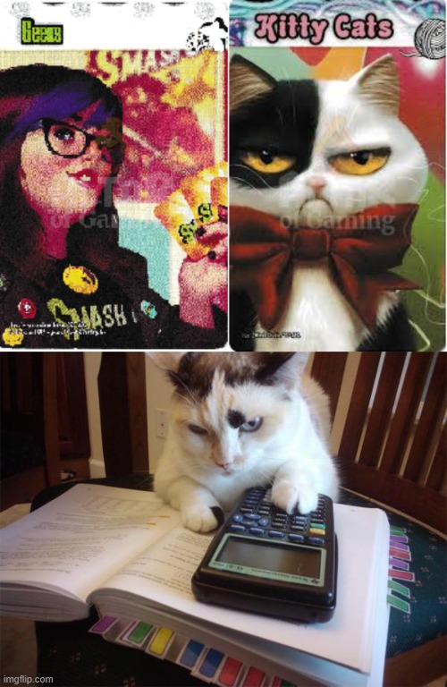 geeks and kitty cats | image tagged in math cat,smash up | made w/ Imgflip meme maker