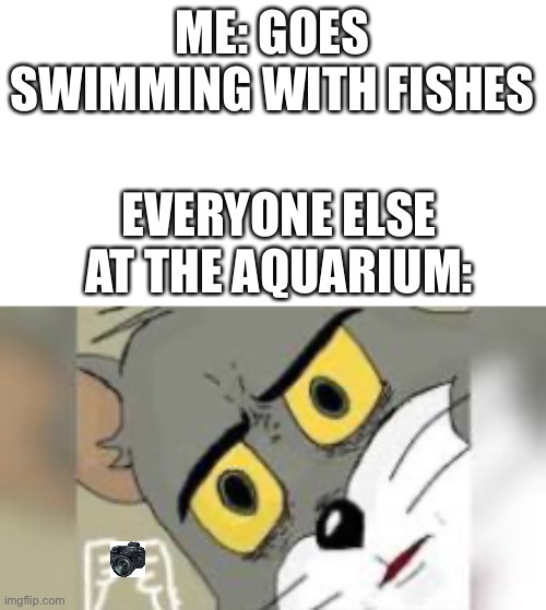 pictur | ME: GOES SWIMMING WITH FISHES; EVERYONE ELSE AT THE AQUARIUM: | image tagged in unsettled tom,disturbed tom,see nobody cares,seems legit,lmfao,not funny | made w/ Imgflip meme maker