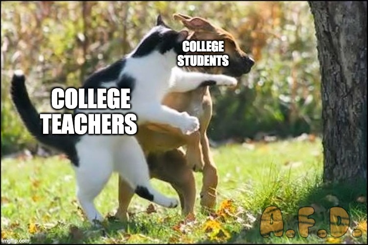 Cat Slap dog | COLLEGE STUDENTS; COLLEGE TEACHERS | image tagged in cat slap dog | made w/ Imgflip meme maker