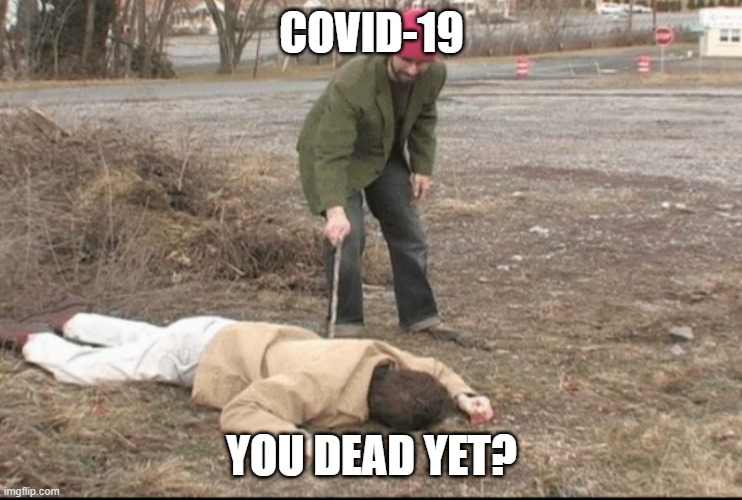 49h3qf.jpg